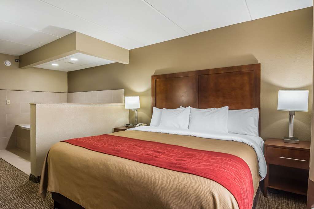 שאטאנוגה Comfort Inn & Suites Hamilton Place חדר תמונה